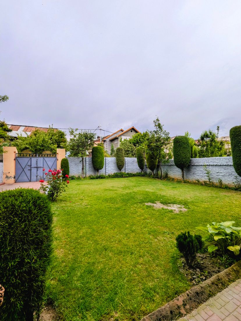 Neat green home garden with a lawn, trimmed hedges and flowering plants